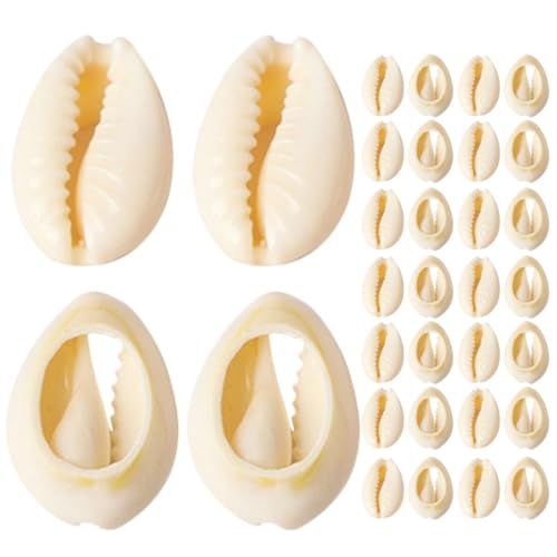 LALAFINA 1 Satz Shell-schmuck-accessoires Kaurimuscheln Große Muschel Halskette Crimpen Muscheln Basteln Naturmuschel Schmuck Zubehör Muscheln Für Haare Diy Zubehör Hülse Beige 150 Stück von LALAFINA