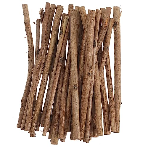 LALAFINA 100 Stück Holzstäbchen Lange Teebaum Holzstäbe für DIY Bastelprojekte und Foto Requisiten Naturholzfarbe von LALAFINA