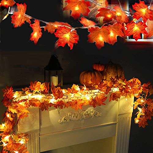 LAMOOER Maple Leaf Lichterketten, 6M 40 LED Herbstblatt Girlanden Lichter für Thanksgiving, Halloween, Weihnachten Outdoor Indoor Decor LAMOOER Maple Leaf Lichterketten, 6M 40 LED Herbstblatt Girlanden Lichter für Thanksgiving, Halloween, Weihnachten Outdoor Indoor Decor von LAMOOER
