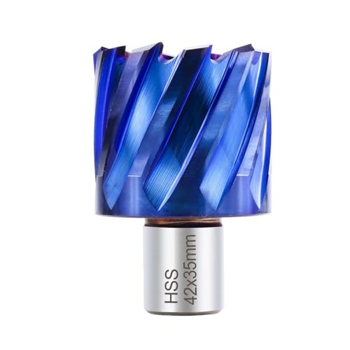 CMCP HSS Kernbohrer Ringschneider 6-60 mm Hohlbohrer 19 Weldonschaft Lochöffner Metallbohrwerkzeuge(16x55mm) von LANAPPTLTG