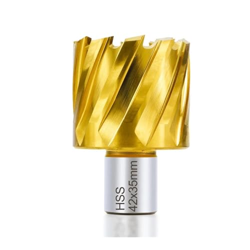 CMCP HSS Kernbohrer Ringschneider 6-60 mm Hohlbohrer 19 Weldonschaft Lochöffner Metallbohrwerkzeuge(53x35mm) von LANAPPTLTG
