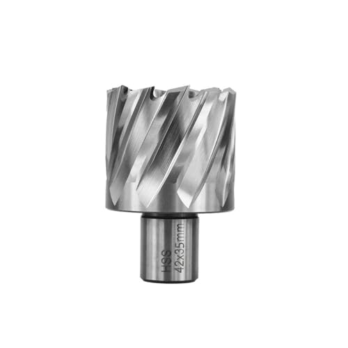 CMCP HSS Kernbohrer Ringschneider 6-60 mm Hohlbohrer 19 Weldonschaft Lochöffner Metallbohrwerkzeuge(53x35mm) von LANAPPTLTG