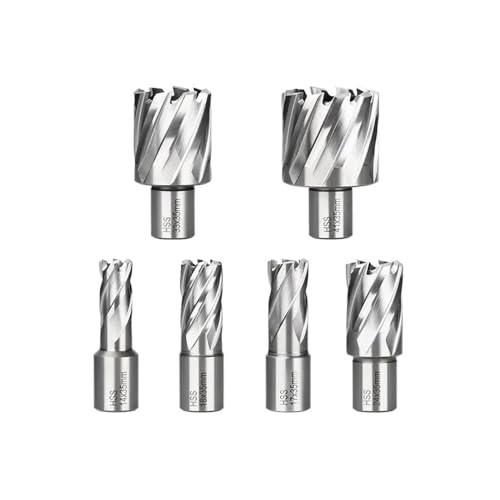 CMCP HSS-Ringschneider, 6–60 mm, Kernbohrer, 19 Weldon-Schaft, Hohlbohrer, Lochsägenschneider, passend for Metallschneidwerkzeug(22x35mm) von LANAPPTLTG