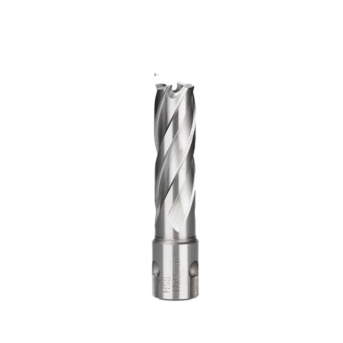 CMCP HSS-Ringschneider-Kernbohrer, Weldon-Schaft, Lochsäge, Hohlbohrer, passend for Bohren von Metall, for Magnetbohrer, 12–30 mm(17x55mm) von LANAPPTLTG