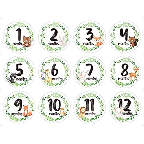 LANCHEN 12 Stück/Set Neugeborene Meilenstein Gedenkmonat Sticker Blumen Baby Monatsaufkleber von LANCHEN