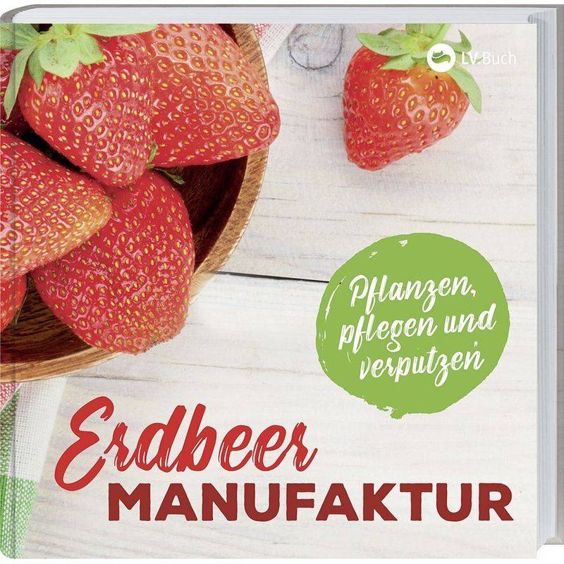 Erdbeer-Manufaktur, Gebunden von LANDWIRTSCHAFTSVERLAG