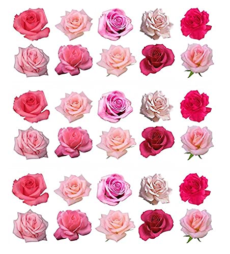 Essbare Kuchendekoration mit rosa Rosen, 30 Stück von LARRYROO