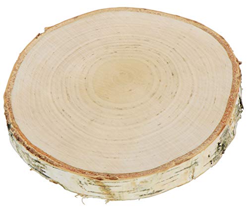 LAUBLUST Baumscheibe mit Rinde - Birkenholz Unbehandelt, ca. 18cm | Deko Hochzeit & Jubiläum | Holzscheibe zum Basteln von LAUBLUST