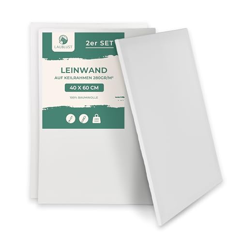 LAUBLUST Keilrahmen 40x60 cm 2er Set - Weiß | Leinwand Set Maltuch aus 100% Baumwolle - Leinwände 280 g/m² | Vorgrundiert, Säurefrei - Keilrahmenset Leinwand zum Bemalen für Acryl-, Aquarell-, Ölfarbe LAUBLUST Keilrahmen 40x60 cm 2er Set - Weiß | Leinwand Set Maltuch aus 100% Baumwolle - Leinwände 280 g/m² | Vorgrundiert, Säurefrei - Keilrahmenset Leinwand zum Bemalen für Acryl-, Aquarell-, Ölfarbe von LAUBLUST