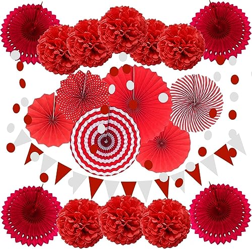 21-teiliges buntes Papierfächer-Set für Weihnachten, Halloween, Hochzeit, Babyparty, Geburtstagsparty, Heimdekoration, Geburtstagsdekoration für Mädchen (HT-A41-6) von LAUOFSHA