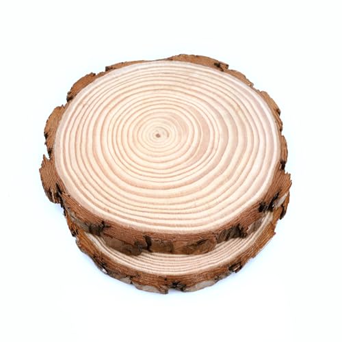 2pcs Baumscheiben 15CM, Große Holzscheiben Unbehandeltes Holz, natürliche hölzerne Basen für Handwerk für Pyrographie DIY hölzerne Untersetzer 14-16 CM von LAXZANT