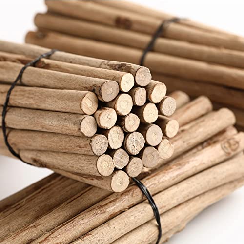 LAZACA Holzstäbchen zum Basteln Zweige Handwerk Log Sticks 50PCS Natürliche Baumrinde Rustikale Wohnkultur DIY (Länge 20cm(0.5-0.8CM)) von LAZACA