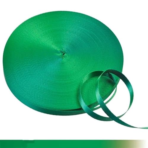 LCKKJHG Gurtband 45 Meter 10 mm buntes Nylon-Gurtband, Schrägband for handgefertigte Arbeitskarten, Gurt, Kleidung, Nähzubehör(GrassGreen) von LCKKJHG