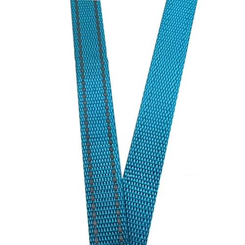 LCKKJHG Gurtband 5 Meter 15 mm reflektierende Linie Polyester-Gurtband 1 mm dick DIY Haustierhalsband Rucksackgurt Gürtel Nähzubehör 10 Farben(Lake Blue 15mm) von LCKKJHG