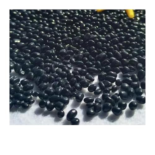 aquarium dekosteine steine 100 g Mikro-Landschafts-Aquarium, Hydrokultur-Pflanzendekoration, Landschaftsbau, Glasperlen, Glas, Sand, Flusssand, gelber Stein(Color-10) von LCKKJHG