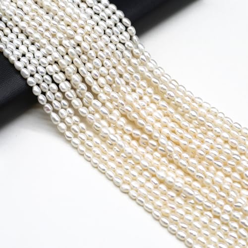 Natürliche Perlen, echte Süßwasser-Zuchtperlen, unregelmäßig, weiß, für Schmuckherstellung, DIY, Halskette, Geschenk, 3–4 mm Natürliche Perlen, echte Süßwasser-Zuchtperlen, unregelmäßig, weiß, für Schmuckherstellung, DIY, Halskette, Geschenk, 3–4 mm von LE SKY