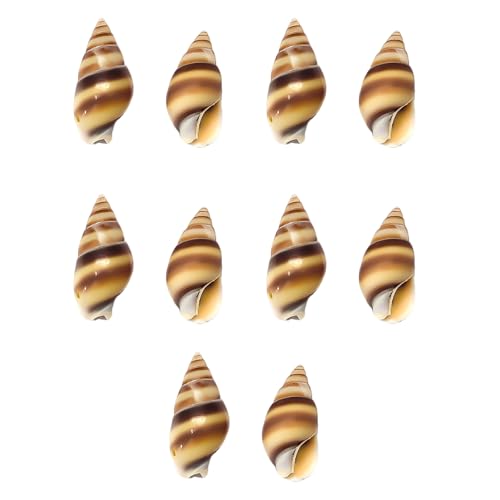10 Stück natürliche Muschelknöpfe mit einzigartigen Mustern für Modedesigner und Bastelprojekte 10 Stück natürliche Muschelknöpfe mit einzigartigen Mustern für Modedesigner und Bastelprojekte von LEADSDGE