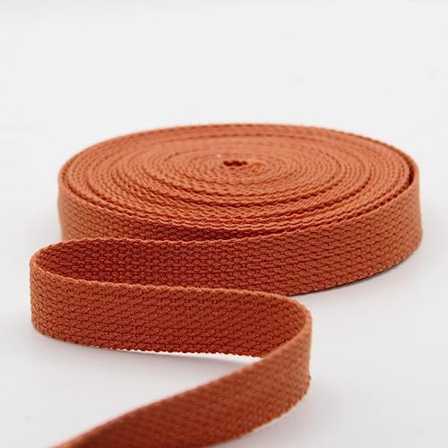 Leduc 3 Meter Gurt aus Baumwolle, für Gepäck, Griff, Tasche, Gürtel, Gurt, Geschirr, Rucksack, Lederwaren, hohe Qualität, Ziegel (66), 2,5 cm von LEDUC