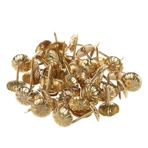 LEEYOX 100 Stücke Gold Messing Dekorative Nägel Reißzwecken Angewandte Schmuck Geschenkbox Tisch Pins Möbelbeschläge Holzbearbeitungswerkzeug 11X16mm LEEYOX 100 Stücke Gold Messing Dekorative Nägel Reißzwecken Angewandte Schmuck Geschenkbox Tisch Pins Möbelbeschläge Holzbearbeitungswerkzeug 11X16mm von LEEYOX