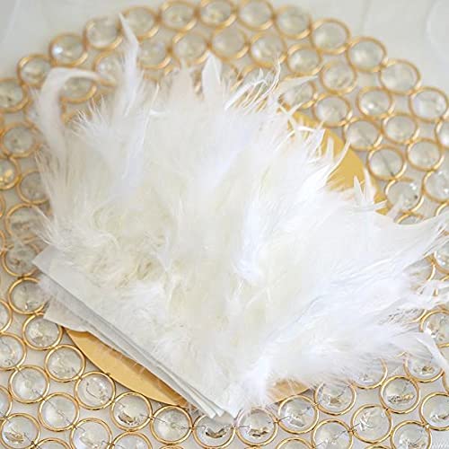 LEEYOX 2 Yards Leder Rosa Marabu Federbesätze Fransen 10-15 cm Natürliche Flauschige Truthahnfedern Besatz für Craft Party Kleid/Rock LEEYOX 2 Yards Leder Rosa Marabu Federbesätze Fransen 10-15 cm Natürliche Flauschige Truthahnfedern Besatz für Craft Party Kleid/Rock von LEEYOX
