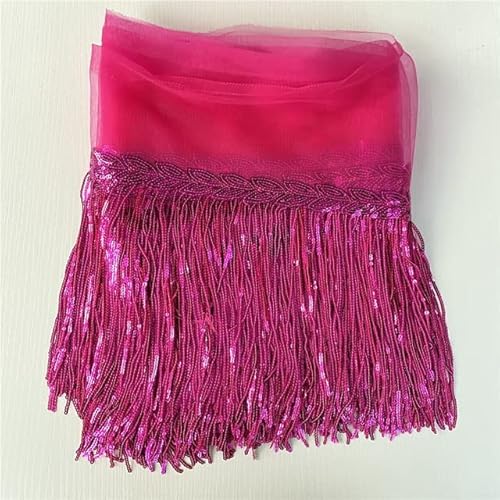 LEEYOX 30cm breit 5-10yards/lot Pailletten Trim Fringe Latin Dance Latin Heimtextilien Tanzkleidung Bühnenkleid Band LEEYOX 30cm breit 5-10yards/lot Pailletten Trim Fringe Latin Dance Latin Heimtextilien Tanzkleidung Bühnenkleid Band von LEEYOX