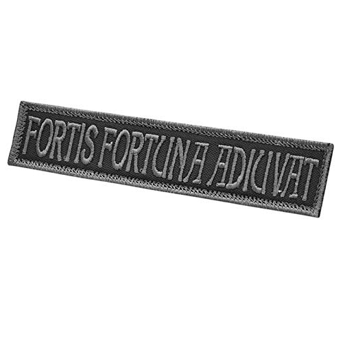 Fortis Fortuna Adiuvat Subdued 1x5 Name Tape John Wick Morale Tactical Military Fastener Patch Fortis Fortuna Adiuvat Subdued 1x5 Name Tape John Wick Morale Tactical Military Fastener Patch von LEGEEON