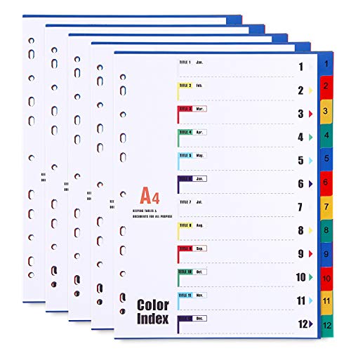 12-teiliges Register/Trennblätter DIN A4, aus PP, Mehrfarbig Trennlaschen Nummer 1-12, 5 Stück von LELADY JEWELRY