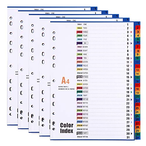 31-teiliges Register/Trennblätter DIN A4, aus PP, Mehrfarbig Trennlaschen Nummer 1-31, 5 Stück von LELADY JEWELRY