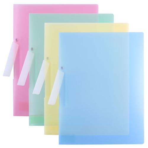 LELE LIFE Transparente Aktenordner für Dokumente mit Schwingclip, Berichtsmappen, Präsentationsmappen, Lebenslaufordner, A4-Größe, 31 x 23 cm (4 Farben) von LELE LIFE