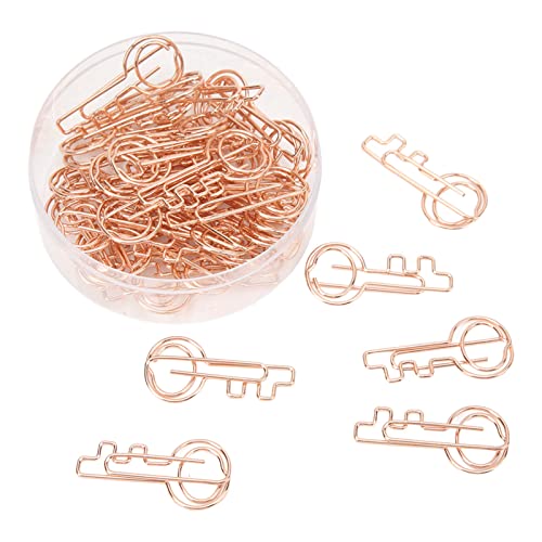 40 Stück Schlüssel-Büroklammern, Metallbeschichtete Büroklammern, Leuchtende Farbbinderklammern, Kleine Büroklammern, Nachrichtenhalter-Clip für Büro, Schule, Zuhause von LEMCC