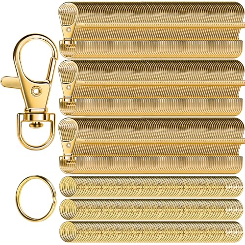 LEOBRO 480 Stück Karabinerverschlüsse und Schlüsselanhänger, 240 Stück Schlüsselanhänger-Clips und 240 Stück Schlüsselanhänger für Schlüsselanhänger, Schlüssel, Schmuckherstellung, Kunsthandwerk, Gold LEOBRO 480 Stück Karabinerverschlüsse und Schlüsselanhänger, 240 Stück Schlüsselanhänger-Clips und 240 Stück Schlüsselanhänger für Schlüsselanhänger, Schlüssel, Schmuckherstellung, Kunsthandwerk, Gold von LEOBRO
