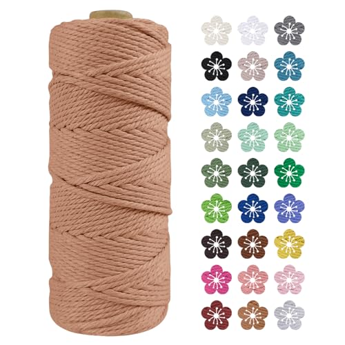 LEREATI Makramee Garn 2mm x 100m Baumwollkordel Natur Baumwollseil Farbig Baumwollgarn, Macrame Cord 2mm für DIY Geflochten, Makramee Deko, Hängepflanze, Wandbehang, Vorhang (Aprikose) von LEREATI