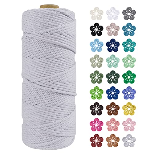 LEREATI Makramee Garn 2mm x 100m Baumwollkordel Natur Baumwollseil Farbig Baumwollgarn, Macrame Cord 2mm für DIY Geflochten, Makramee Deko, Hängepflanze, Wandbehang, Vorhang (Hellgrau) von LEREATI