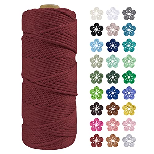 LEREATI Makramee Garn 2mm x 100m Baumwollkordel Natur Baumwollseil Farbig Baumwollgarn, Macrame Cord 2mm für DIY Geflochten, Makramee Deko, Hängepflanze, Wandbehang, Vorhang (Rostrot) von LEREATI