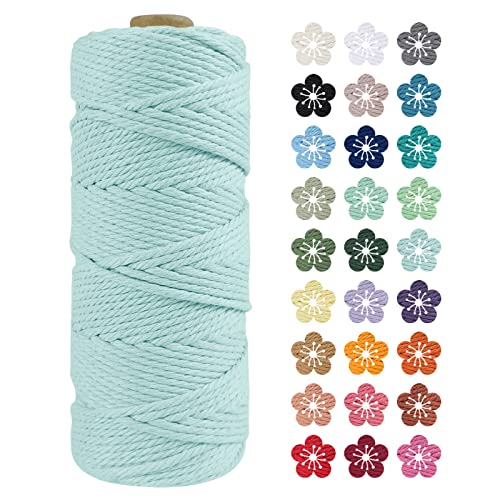 LEREATI Makramee Garn 2mm x 100m Hellblau Baumwollkordel Natur Baumwollseil Farbig Baumwollgarn, Macrame Cord 2mm für DIY Geflochten, Makramee Deko, Hängepflanze, Wandbehang, Vorhang LEREATI Makramee Garn 2mm x 100m Hellblau Baumwollkordel Natur Baumwollseil Farbig Baumwollgarn, Macrame Cord 2mm für DIY Geflochten, Makramee Deko, Hängepflanze, Wandbehang, Vorhang von LEREATI