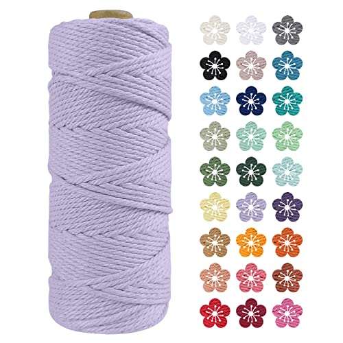 LEREATI Makramee Garn 2mm x 100m Helles Lila Baumwollkordel Natur Baumwollseil Farbig Baumwollgarn, Macrame Cord 2mm für DIY Geflochten, Makramee Deko, Hängepflanze, Wandbehang, Vorhang LEREATI Makramee Garn 2mm x 100m Helles Lila Baumwollkordel Natur Baumwollseil Farbig Baumwollgarn, Macrame Cord 2mm für DIY Geflochten, Makramee Deko, Hängepflanze, Wandbehang, Vorhang von LEREATI