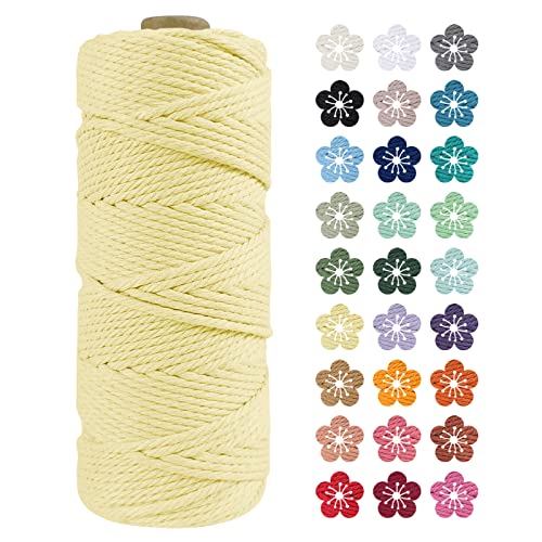 LEREATI Makramee Garn 2mm x 100m Hellgelb Baumwollkordel Natur Baumwollseil Farbig Baumwollgarn, Macrame Cord 2mm für DIY Geflochten, Makramee Deko, Hängepflanze, Wandbehang, Vorhang LEREATI Makramee Garn 2mm x 100m Hellgelb Baumwollkordel Natur Baumwollseil Farbig Baumwollgarn, Macrame Cord 2mm für DIY Geflochten, Makramee Deko, Hängepflanze, Wandbehang, Vorhang von LEREATI