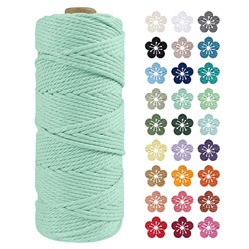 LEREATI Makramee Garn 2mm x 100m Hellgrün Baumwollkordel Natur Baumwollseil Farbig Baumwollgarn, Macrame Cord 2mm für DIY Geflochten, Makramee Deko, Hängepflanze, Wandbehang, Vorhang LEREATI Makramee Garn 2mm x 100m Hellgrün Baumwollkordel Natur Baumwollseil Farbig Baumwollgarn, Macrame Cord 2mm für DIY Geflochten, Makramee Deko, Hängepflanze, Wandbehang, Vorhang von LEREATI