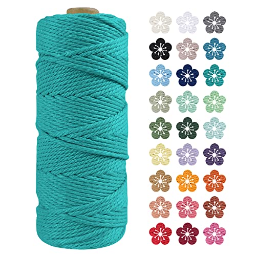 LEREATI Makramee Garn 2mm x 100m Pfauenblau Baumwollkordel Natur Baumwollseil Farbig Baumwollgarn, Macrame Cord 2mm für DIY Geflochten, Makramee Deko, Hängepflanze, Wandbehang, Vorhang von LEREATI