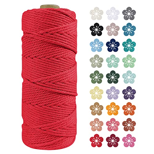 LEREATI Makramee Garn 2mm x 100m Rot Baumwollkordel Natur Baumwollseil Farbig Baumwollgarn, Macrame Cord 2mm für DIY Geflochten, Makramee Deko, Hängepflanze, Wandbehang, Vorhang LEREATI Makramee Garn 2mm x 100m Rot Baumwollkordel Natur Baumwollseil Farbig Baumwollgarn, Macrame Cord 2mm für DIY Geflochten, Makramee Deko, Hängepflanze, Wandbehang, Vorhang von LEREATI