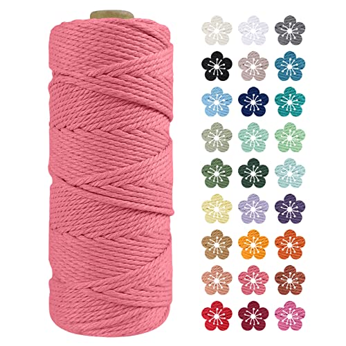 LEREATI Makramee Garn 2mm x 100m Wassermelone Rosa Baumwollkordel Natur Baumwollseil Farbig Baumwollgarn, Macrame Cord 2mm für DIY Geflochten, Makramee Deko, Hängepflanze, Wandbehang, Vorhang von LEREATI