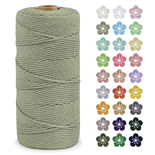 LEREATI Makramee Garn 2mm x 200m Baumwollkordel Natur Baumwollseil Farbig Baumwollgarn, Macrame Cord 2mm für DIY Geflochten, Makramee Deko, Hängepflanze, Wandbehang, Vorhang (Bohnengrün) von LEREATI