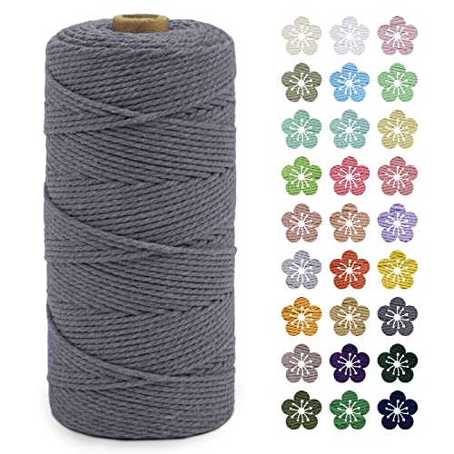 LEREATI Makramee Garn 2mm x 200m Baumwollkordel Natur Baumwollseil Farbig Baumwollgarn, Macrame Cord 2mm für DIY Geflochten, Makramee Deko, Hängepflanze, Wandbehang, Vorhang (Grau) von LEREATI