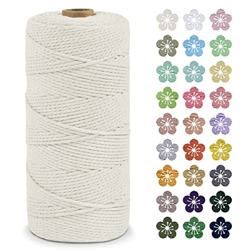 LEREATI Makramee Garn 2mm x 200m Baumwollkordel Natur Baumwollseil Farbig Baumwollgarn, Macrame Cord 2mm für DIY Geflochten, Makramee Deko, Hängepflanze, Wandbehang, Vorhang (Natürlich) von LEREATI