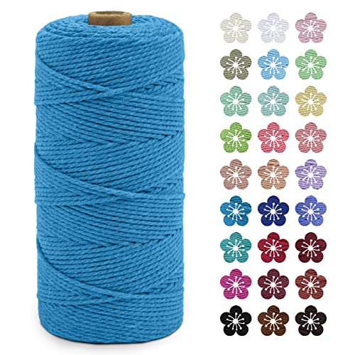 LEREATI Makramee Garn 2mm x 200m Baumwollkordel Natur Baumwollseil Farbig Baumwollgarn, Macrame Cord 2mm für DIY Geflochten, Makramee Deko, Hängepflanze, Wandbehang, Vorhang (Seeblau) von LEREATI