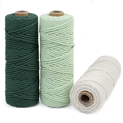 LEREATI Makramee Garn 3mm Set, 150m Makramee-Schnur, Farbig Baumwollseil, Baumwollgarn zum Hängepflanze, Wandbehang, Hochzeitsbogen, Deko (Dunkelgrün, Mintgrün, Natur) von LEREATI