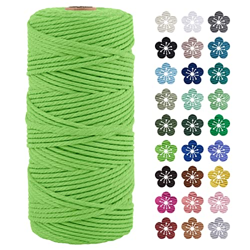 LEREATI Makramee Garn 3mm x 100m Baumwollkordel Natur Baumwollseil Farbig Baumwollgarn, Macrame Cord 3mm für DIY Geflochten, Makramee Deko, Hängepflanze, Wandbehang, Vorhang (Grasgrün) von LEREATI
