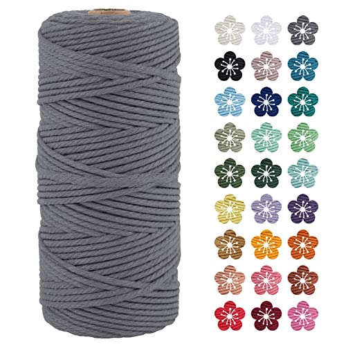 LEREATI Makramee Garn 3mm x 100m Grau Baumwollkordel Natur Baumwollseil Farbig Baumwollgarn, Macrame Cord 3mm für DIY Geflochten, Makramee Deko, Hängepflanze, Wandbehang, Vorhang LEREATI Makramee Garn 3mm x 100m Grau Baumwollkordel Natur Baumwollseil Farbig Baumwollgarn, Macrame Cord 3mm für DIY Geflochten, Makramee Deko, Hängepflanze, Wandbehang, Vorhang von LEREATI