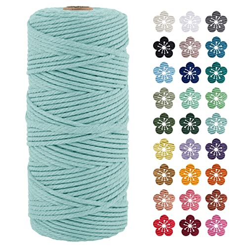 LEREATI Makramee Garn 3mm x 100m Hellblau Baumwollkordel Natur Baumwollseil Farbig Baumwollgarn, Macrame Cord 3mm für DIY Geflochten, Makramee Deko, Hängepflanze, Wandbehang, Vorhang LEREATI Makramee Garn 3mm x 100m Hellblau Baumwollkordel Natur Baumwollseil Farbig Baumwollgarn, Macrame Cord 3mm für DIY Geflochten, Makramee Deko, Hängepflanze, Wandbehang, Vorhang von LEREATI