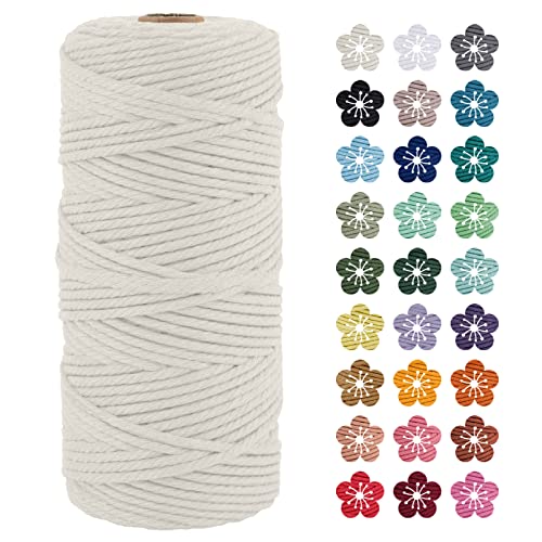 LEREATI Makramee Garn 3mm x 100m Natürlich Baumwollkordel Natur Baumwollseil Farbig Baumwollgarn, Macrame Cord 3mm für DIY Geflochten, Makramee Deko, Hängepflanze, Wandbehang, Vorhang LEREATI Makramee Garn 3mm x 100m Natürlich Baumwollkordel Natur Baumwollseil Farbig Baumwollgarn, Macrame Cord 3mm für DIY Geflochten, Makramee Deko, Hängepflanze, Wandbehang, Vorhang von LEREATI